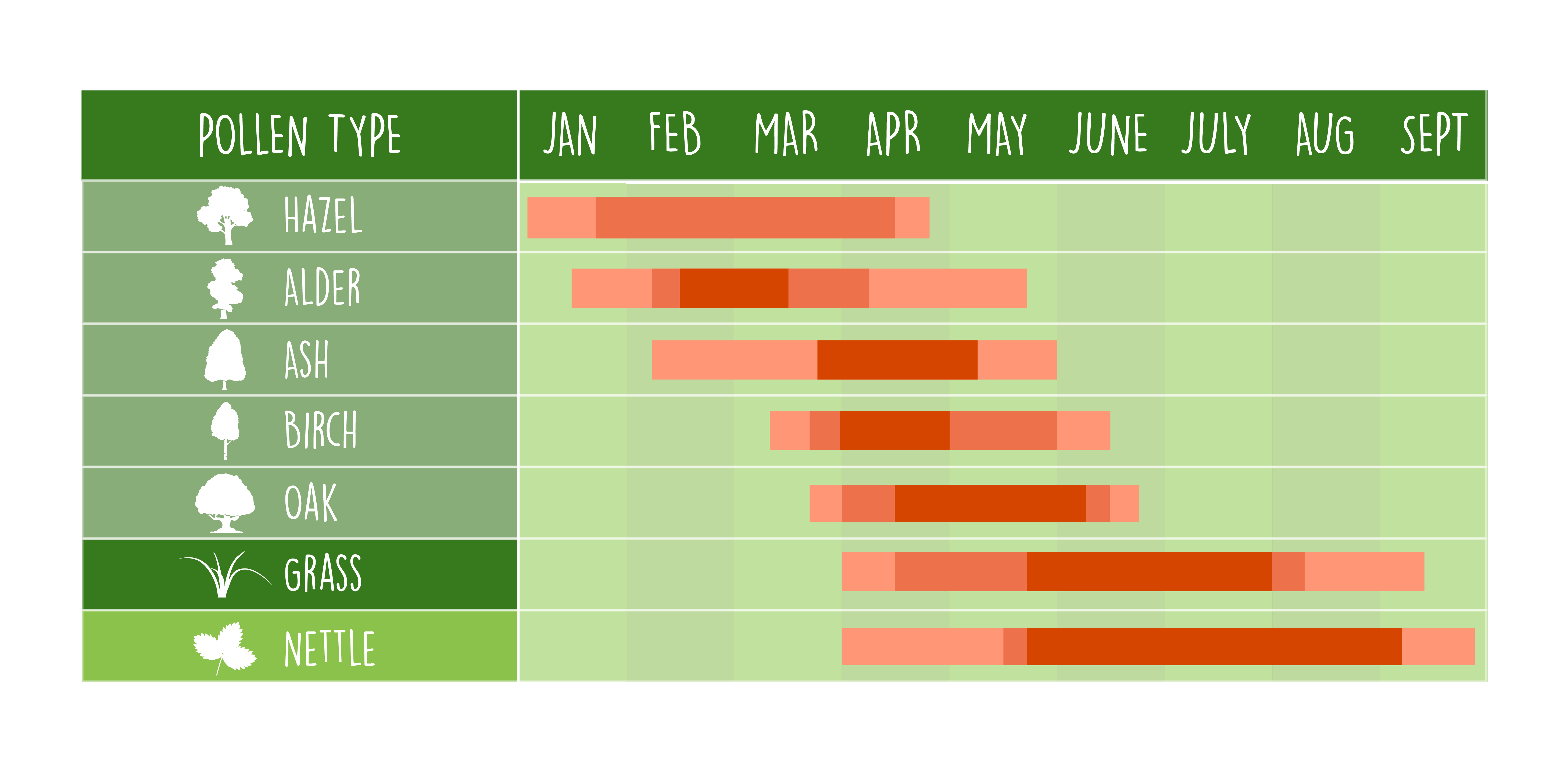 UK pollen calendar illustration, showing common pollen types in South West of England